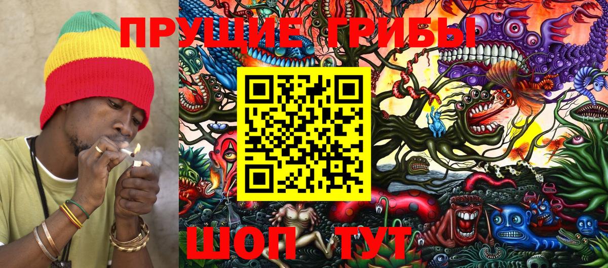 Новотроицк  Псилоцибиновые грибы MAGIC MUSHROOMS  Вход с VPN 