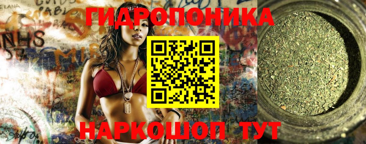 Шишки марихуана индика  Каннабис планчик  Бошки марихуана тримм  Новотроицк  Вход с VPN 